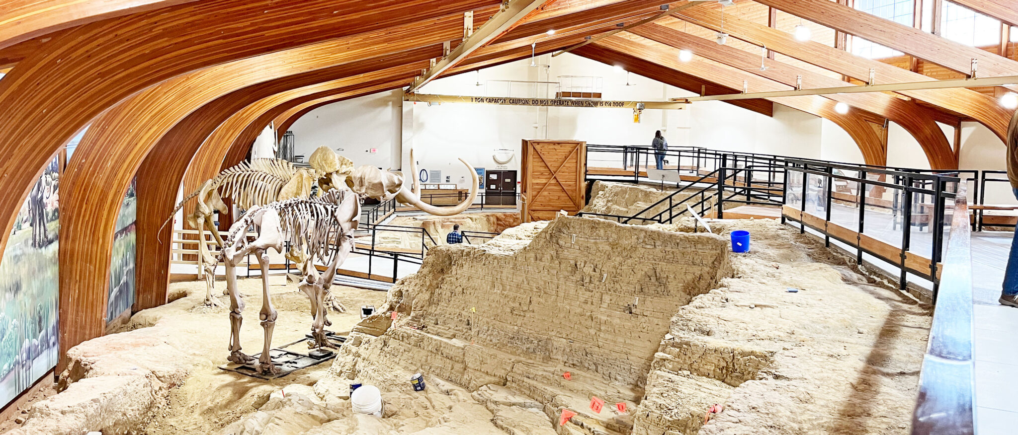 The Mammoth Paleontological Site